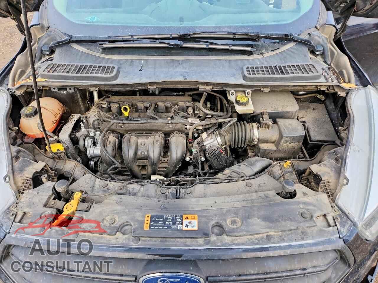 FORD ESCAPE 2017 - 1FMCU0F74HUC79989