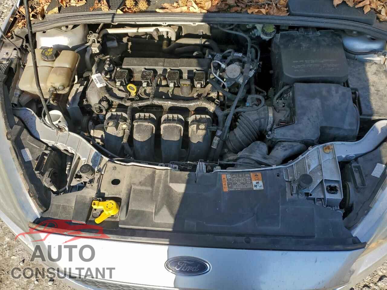 FORD FOCUS 2016 - 1FADP3F27GL339151