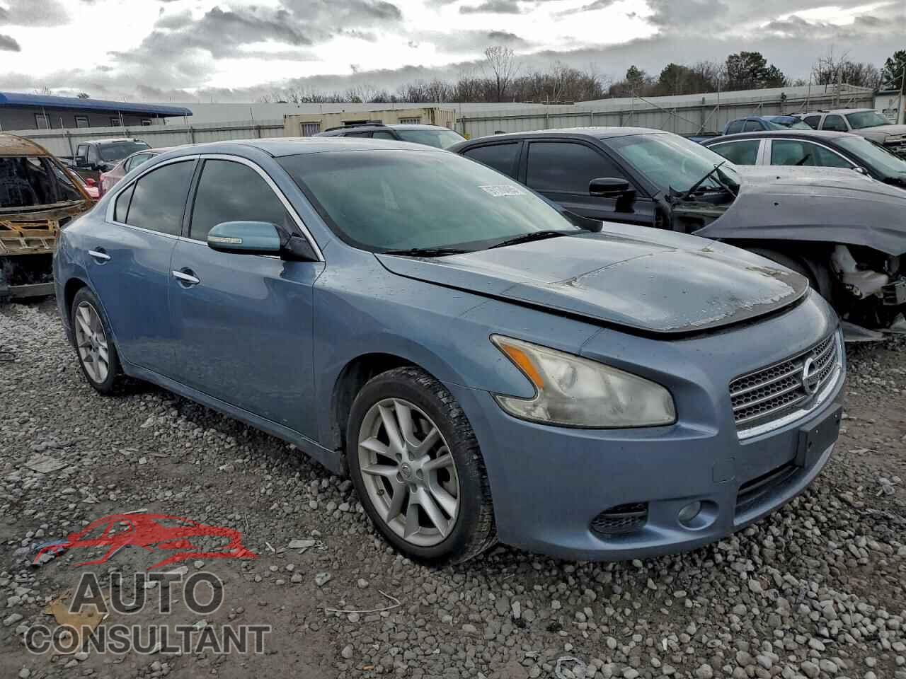 NISSAN MAXIMA 2011 - 1N4AA5AP0BC816675