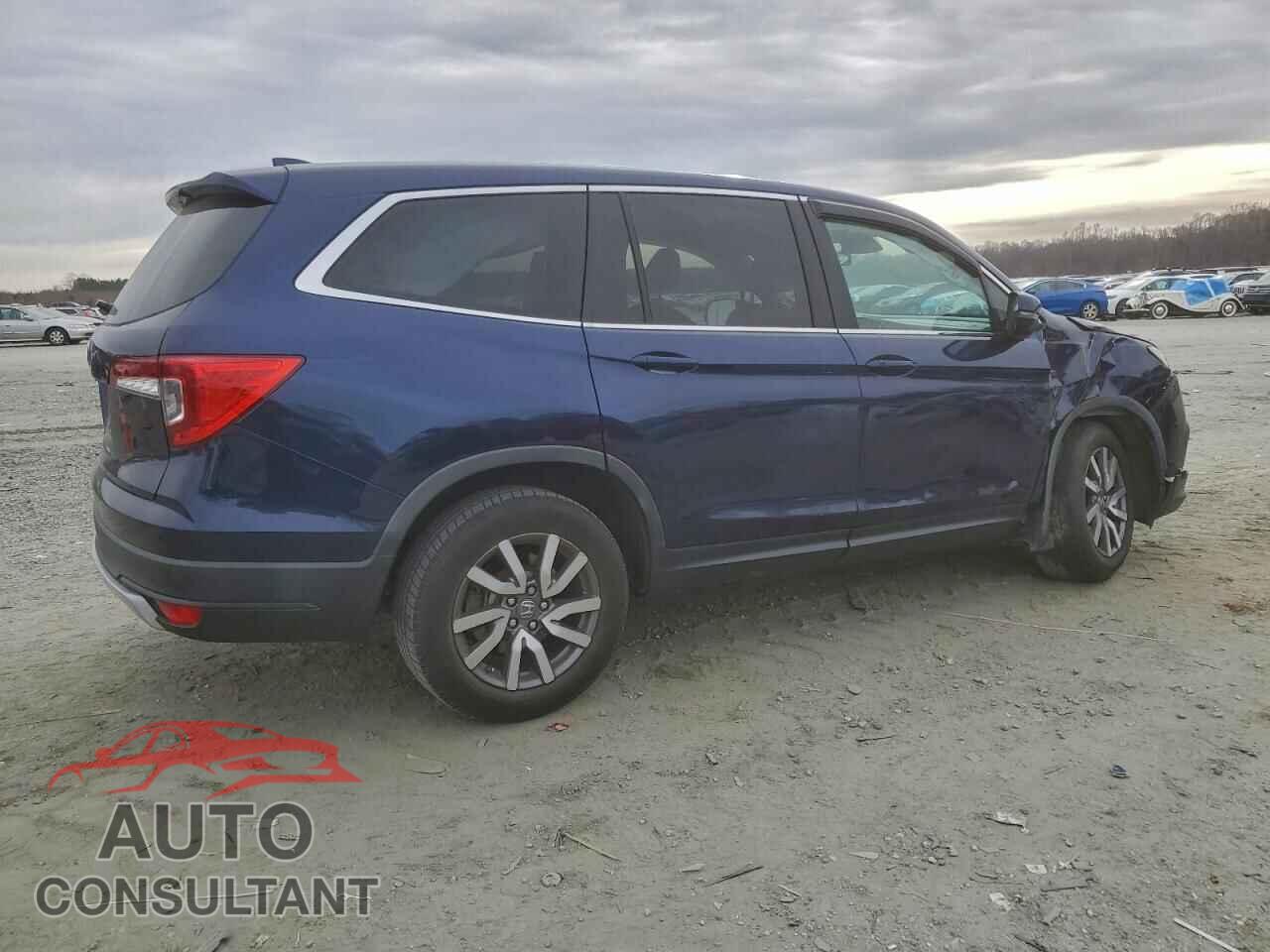 HONDA PILOT 2019 - 5FNYF5H53KB022979