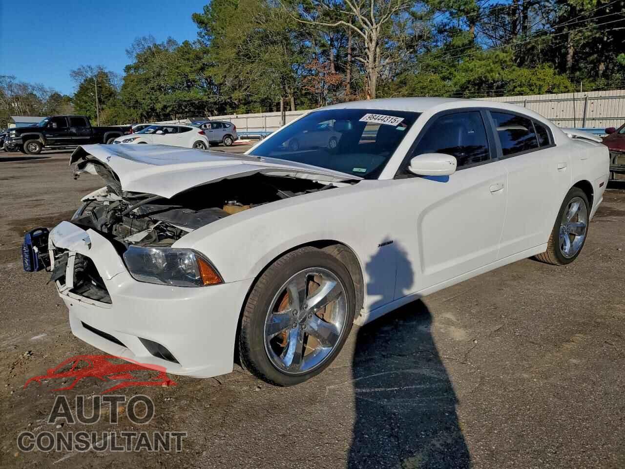 DODGE CHARGER 2013 - 2C3CDXCT2DH729963