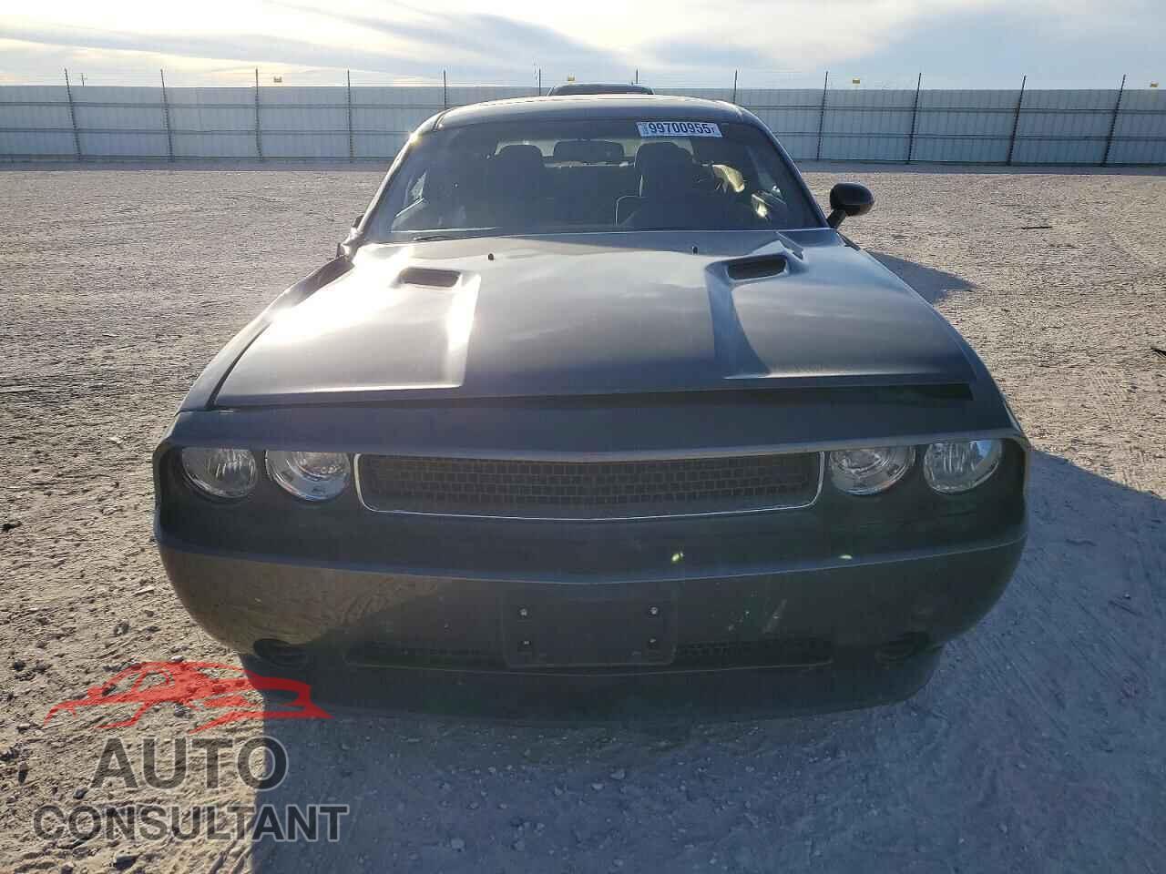 DODGE CHALLENGER 2014 - 2C3CDYAG3EH293928