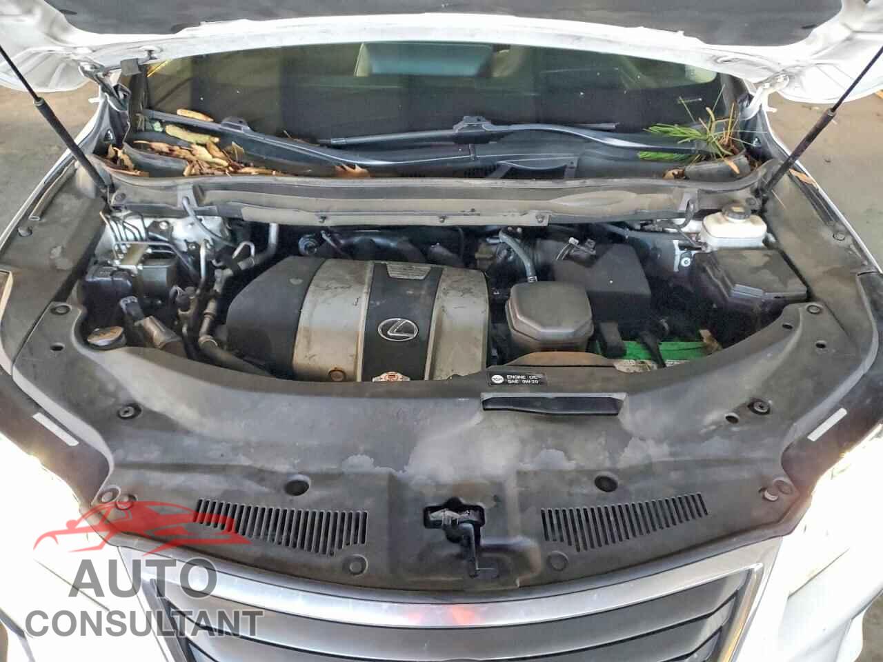 LEXUS RX350 2019 - 2T2ZZMCA2KC131573