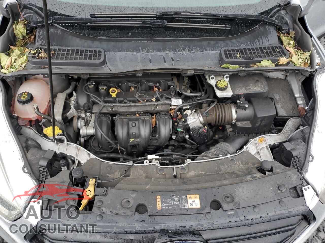 FORD ESCAPE 2017 - 1FMCU0F73HUB98935