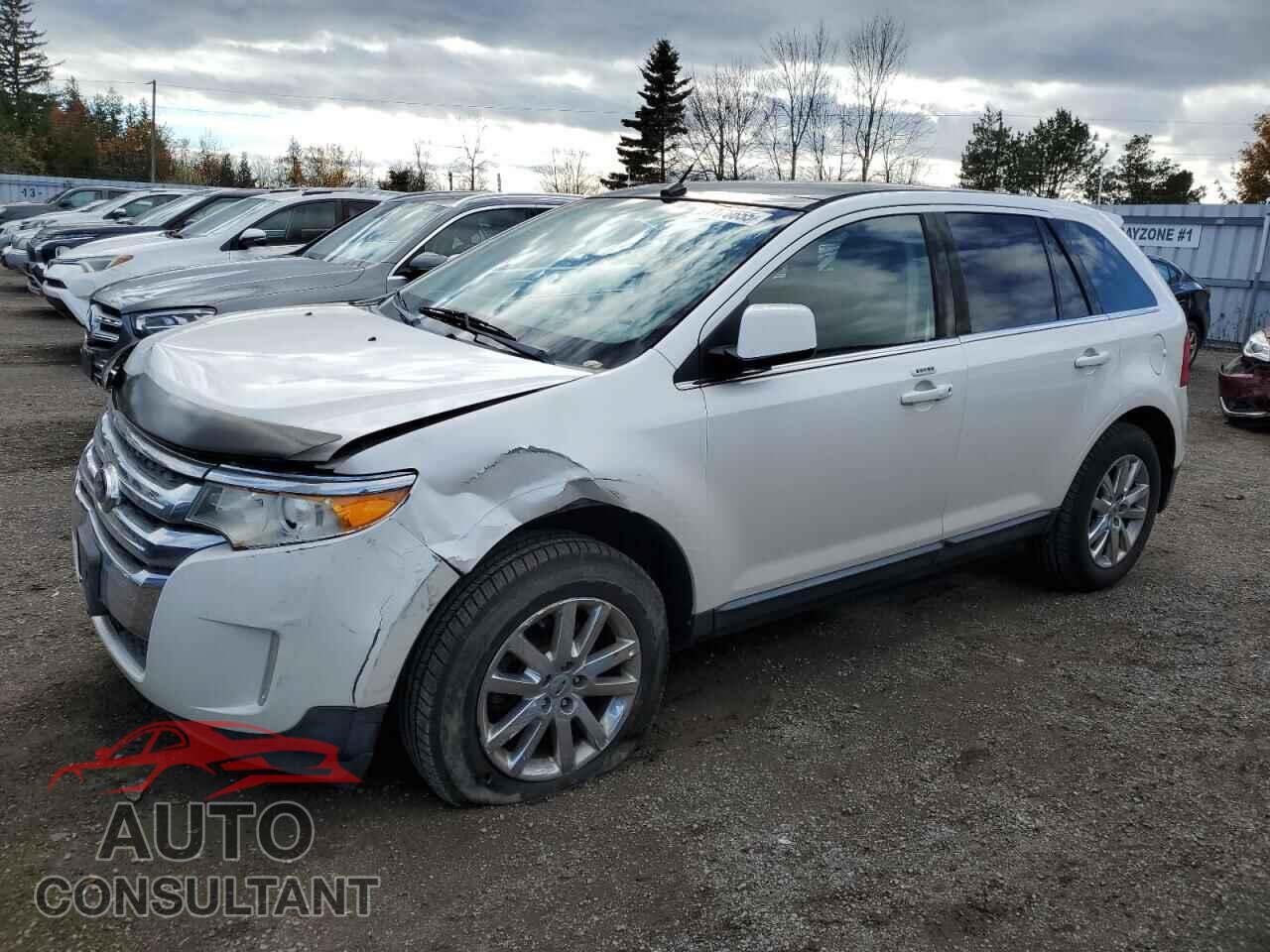 FORD EDGE 2011 - 2FMDK4KC0BBA20773