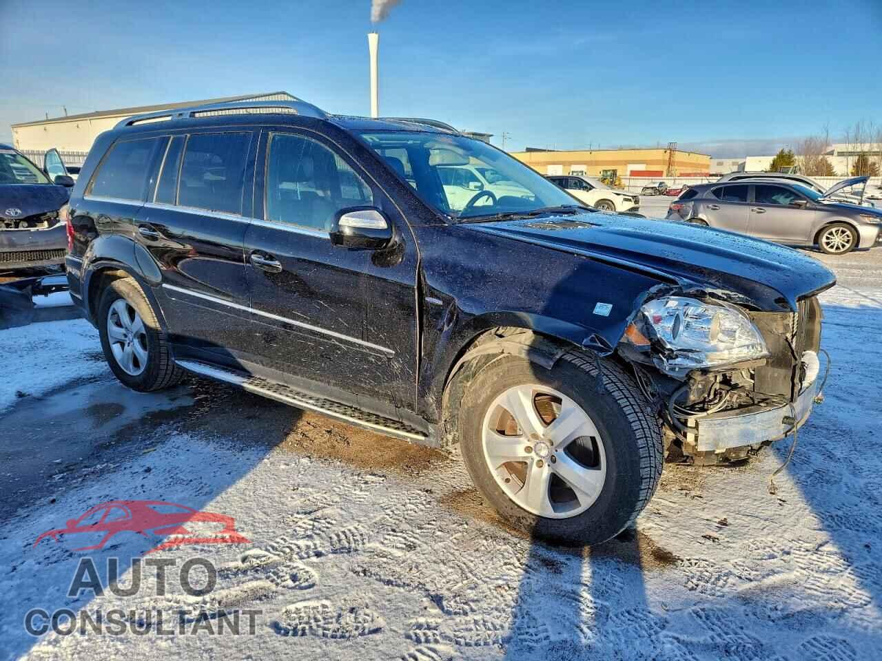 MERCEDES-BENZ GL-CLASS 2010 - 4JGBF2FEXAA622098