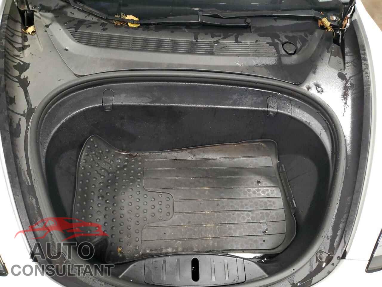 TESLA MODEL 3 2019 - 5YJ3E1EA1KF302018