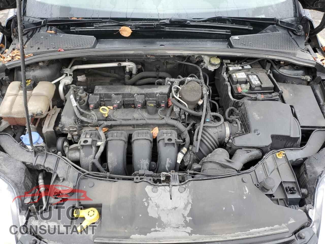 FORD FOCUS 2014 - 1FADP3F26EL419084