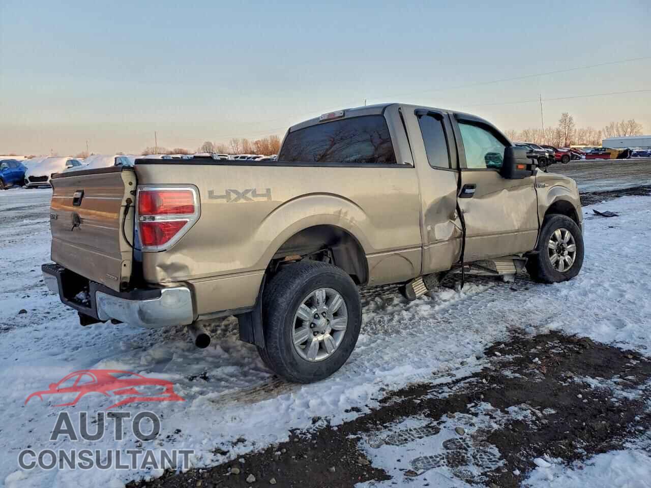 FORD F-150 2011 - 1FTFX1EF2BFC04548