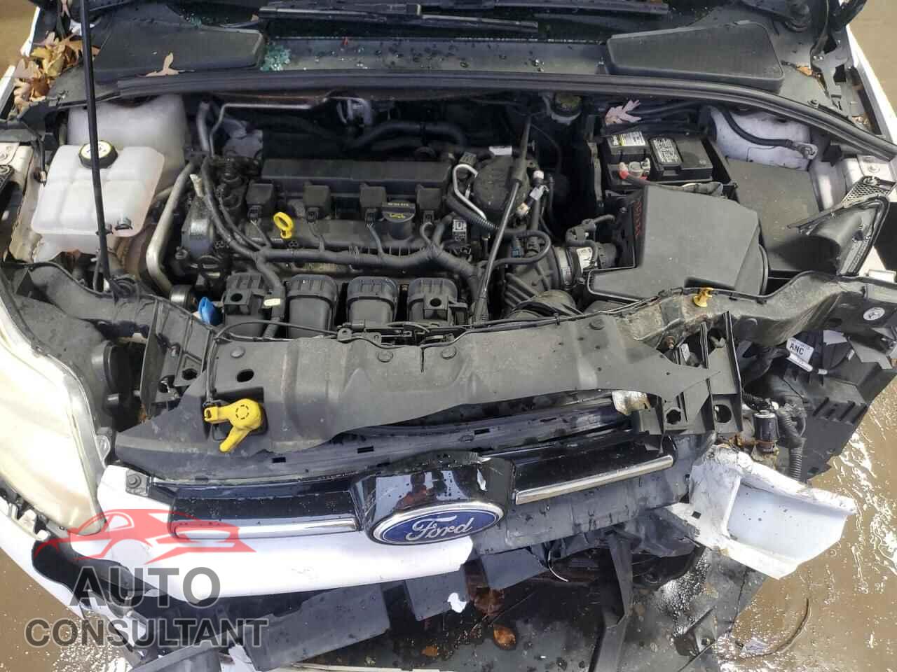 FORD FOCUS 2012 - 1FAHP3M20CL160710
