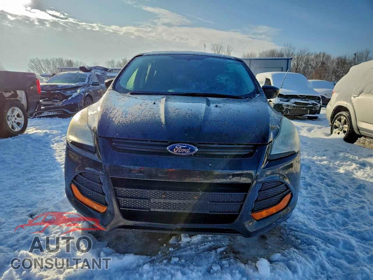 FORD ESCAPE 2014 - 1FMCU0F73EUC28821