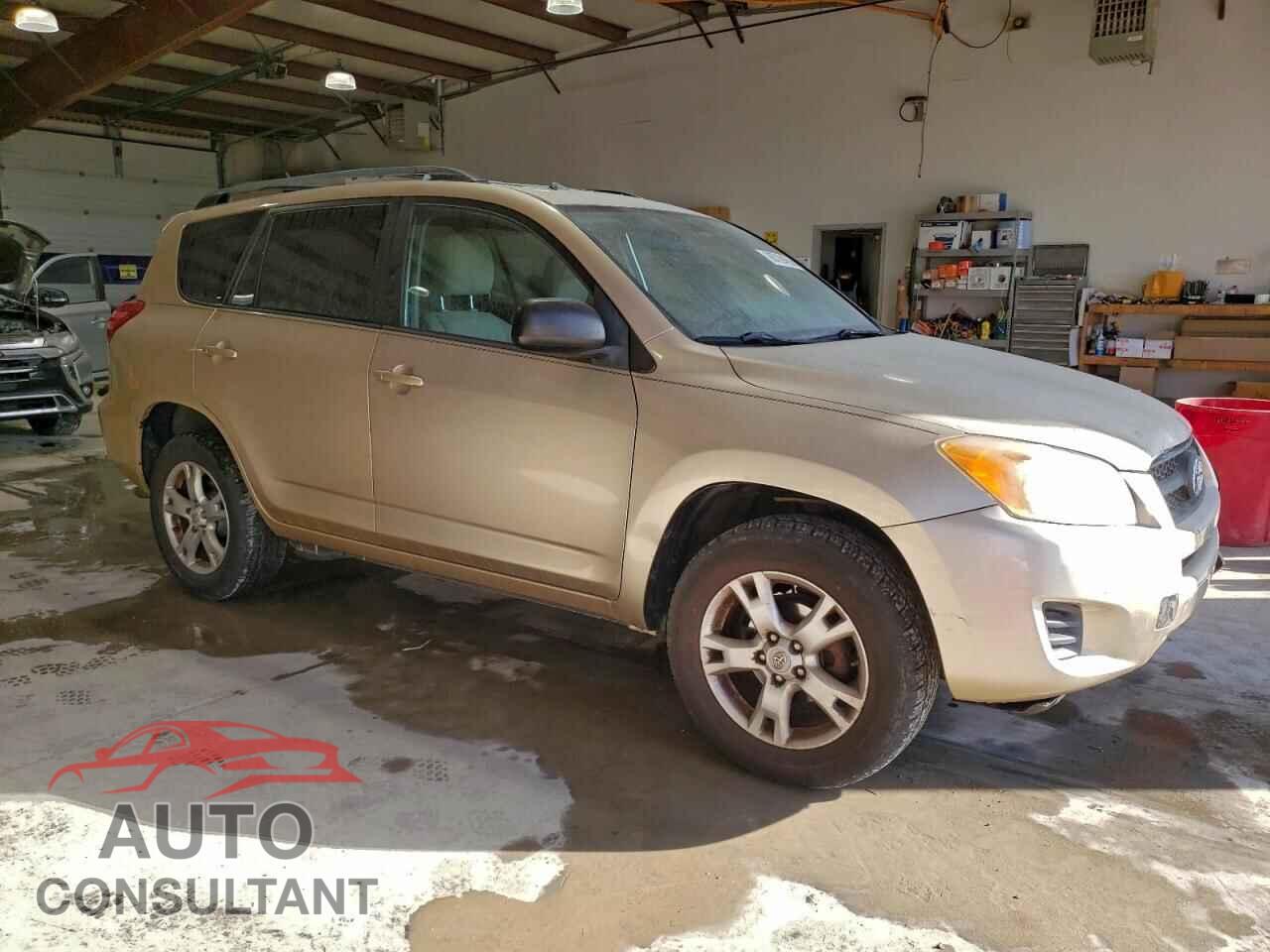 TOYOTA RAV4 2011 - 2T3BF4DV3BW123780