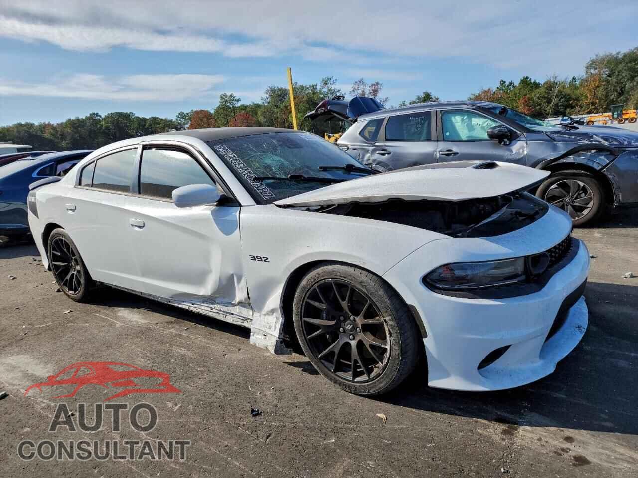 DODGE CHARGER 2018 - 2C3CDXGJ3JH210862