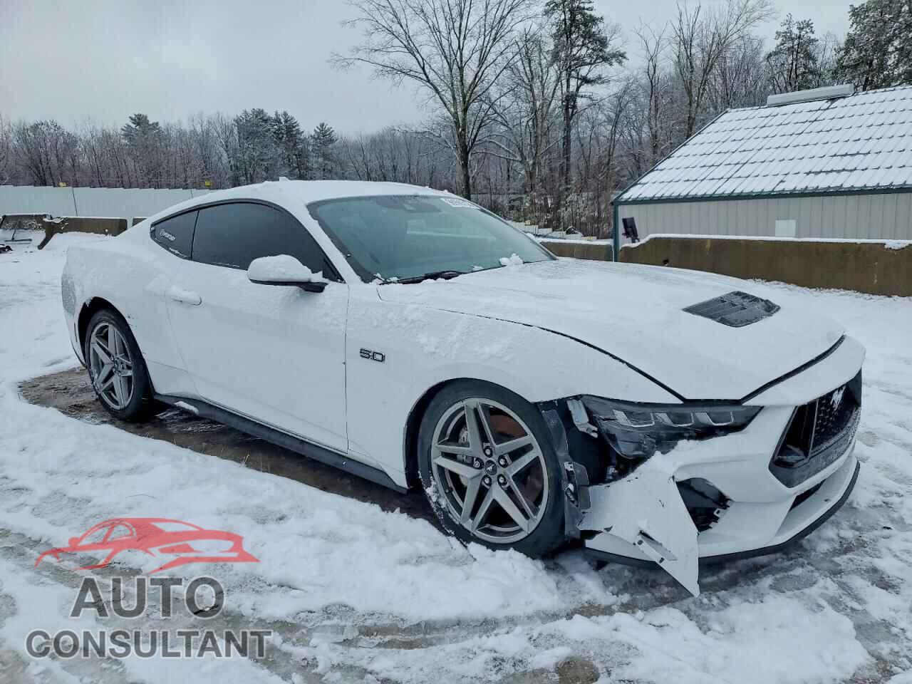FORD MUSTANG 2024 - 1FA6P8CF9R5418499