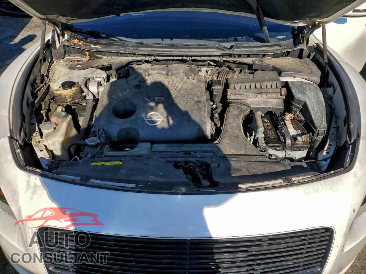 NISSAN MAXIMA 2011 - 1N4AA5AP4BC862977