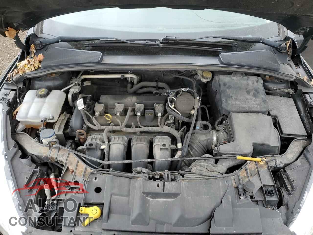FORD FOCUS 2015 - 1FADP3K25FL287068