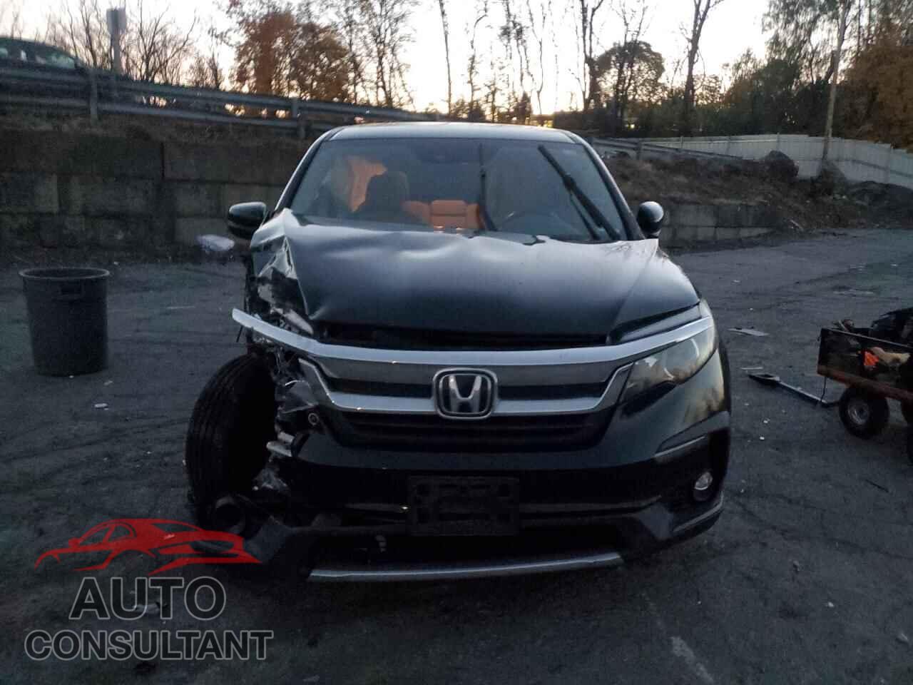 HONDA PILOT 2019 - 5FNYF6H37KB036159