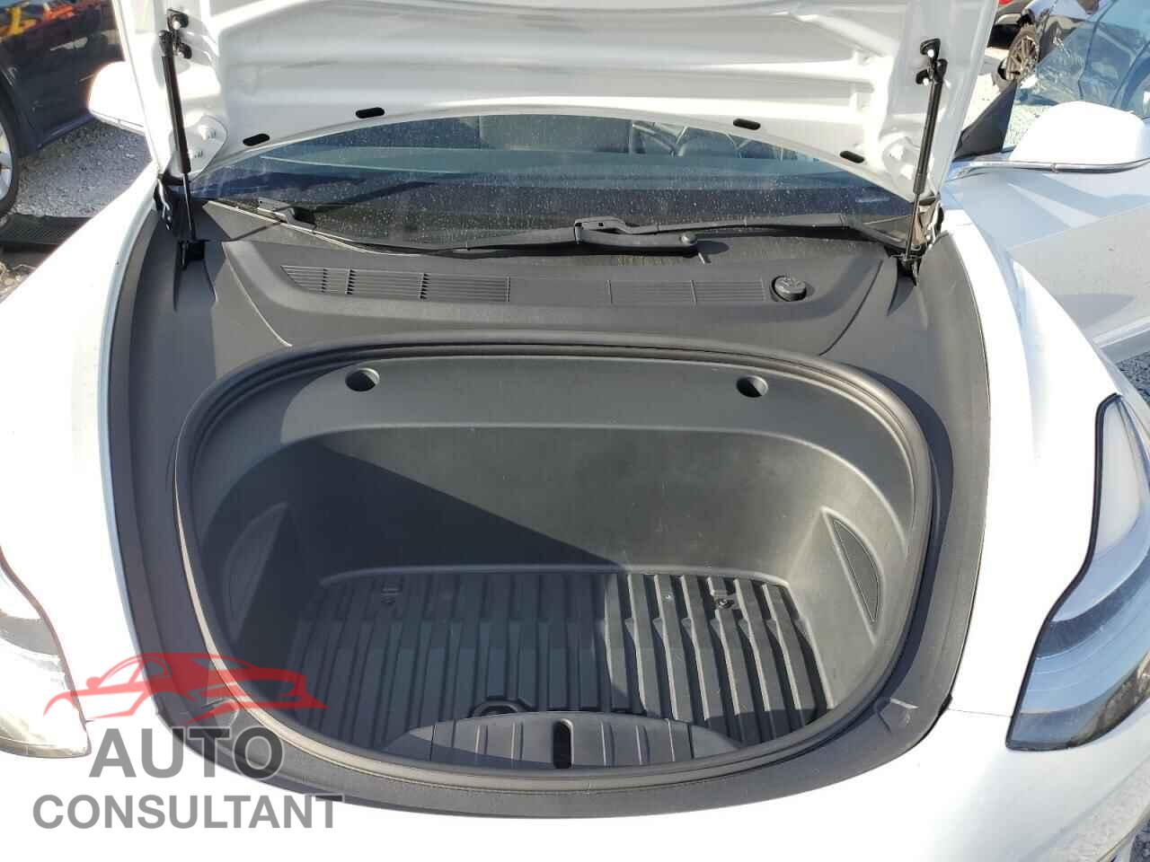 TESLA MODEL 3 2020 - 5YJ3E1EA7LF797066