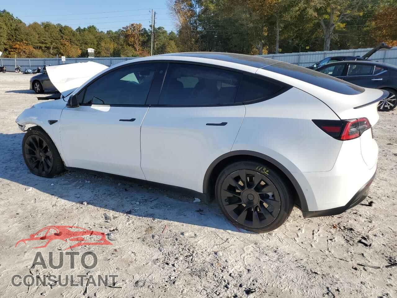 TESLA MODEL Y 2022 - 7SAYGDEE6NF329954