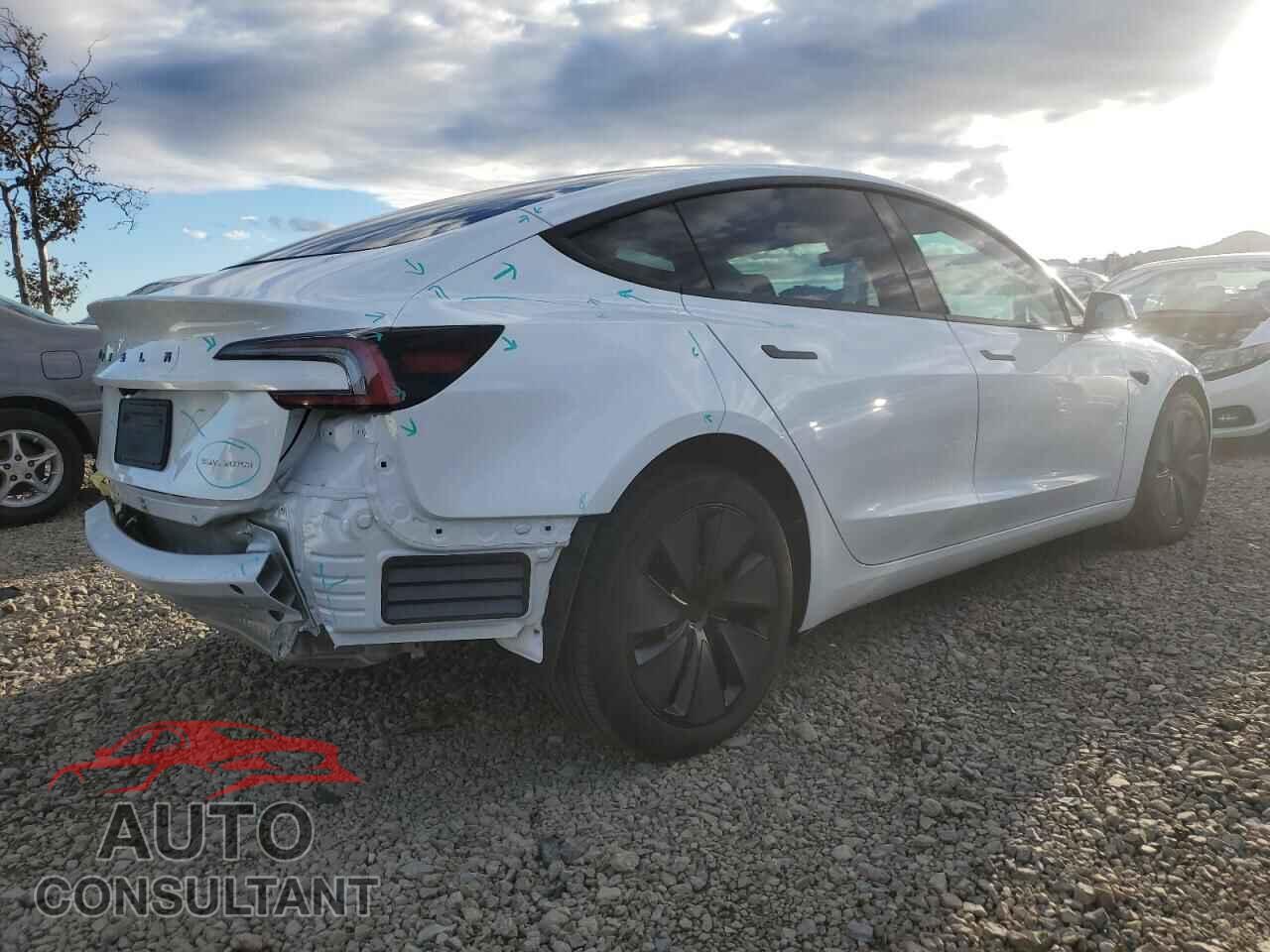 TESLA MODEL 3 2025 - 5YJ3E1EB5SF010980