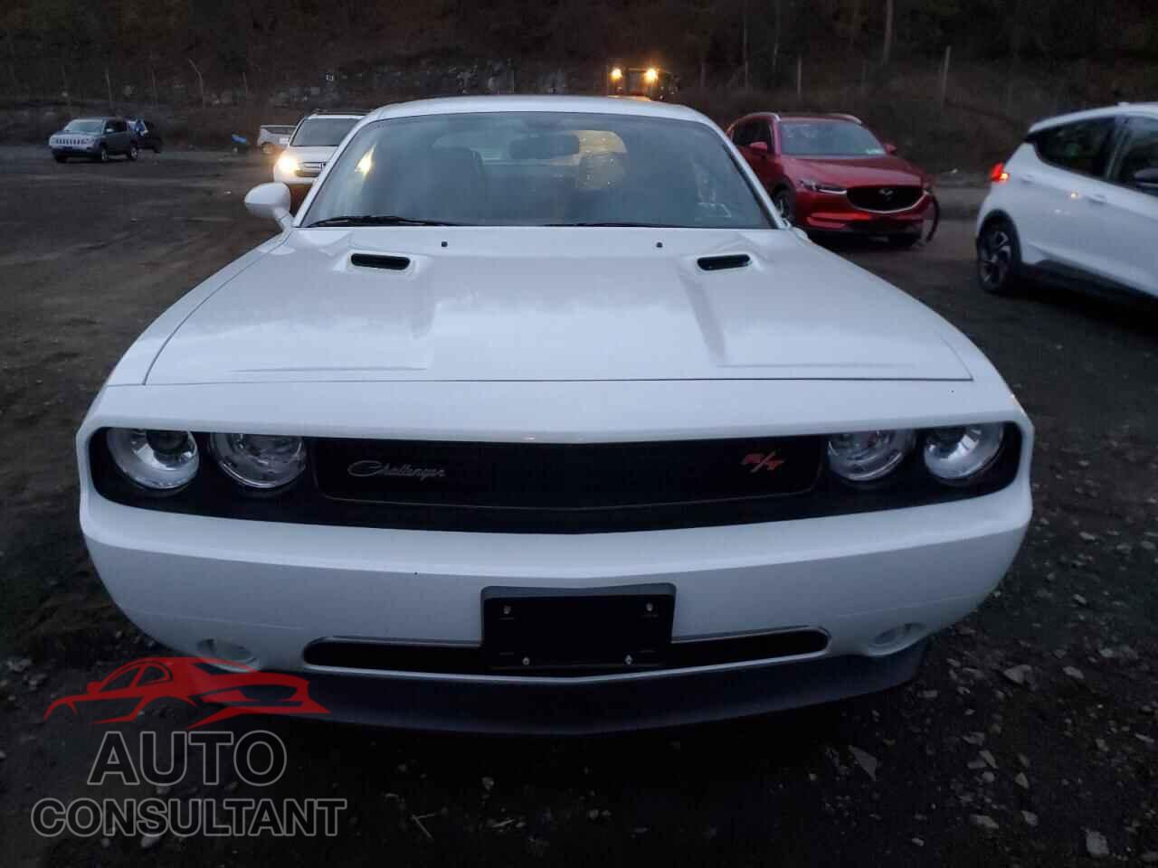 DODGE CHALLENGER 2014 - 2C3CDYBT9EH247693