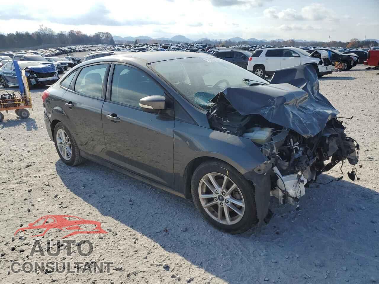 FORD FOCUS 2016 - 1FADP3F29GL312405