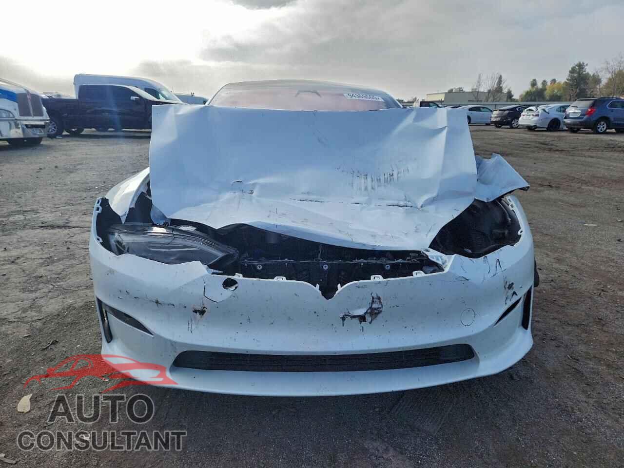 TESLA MODEL S 2024 - 5YJSA1E50RF537806