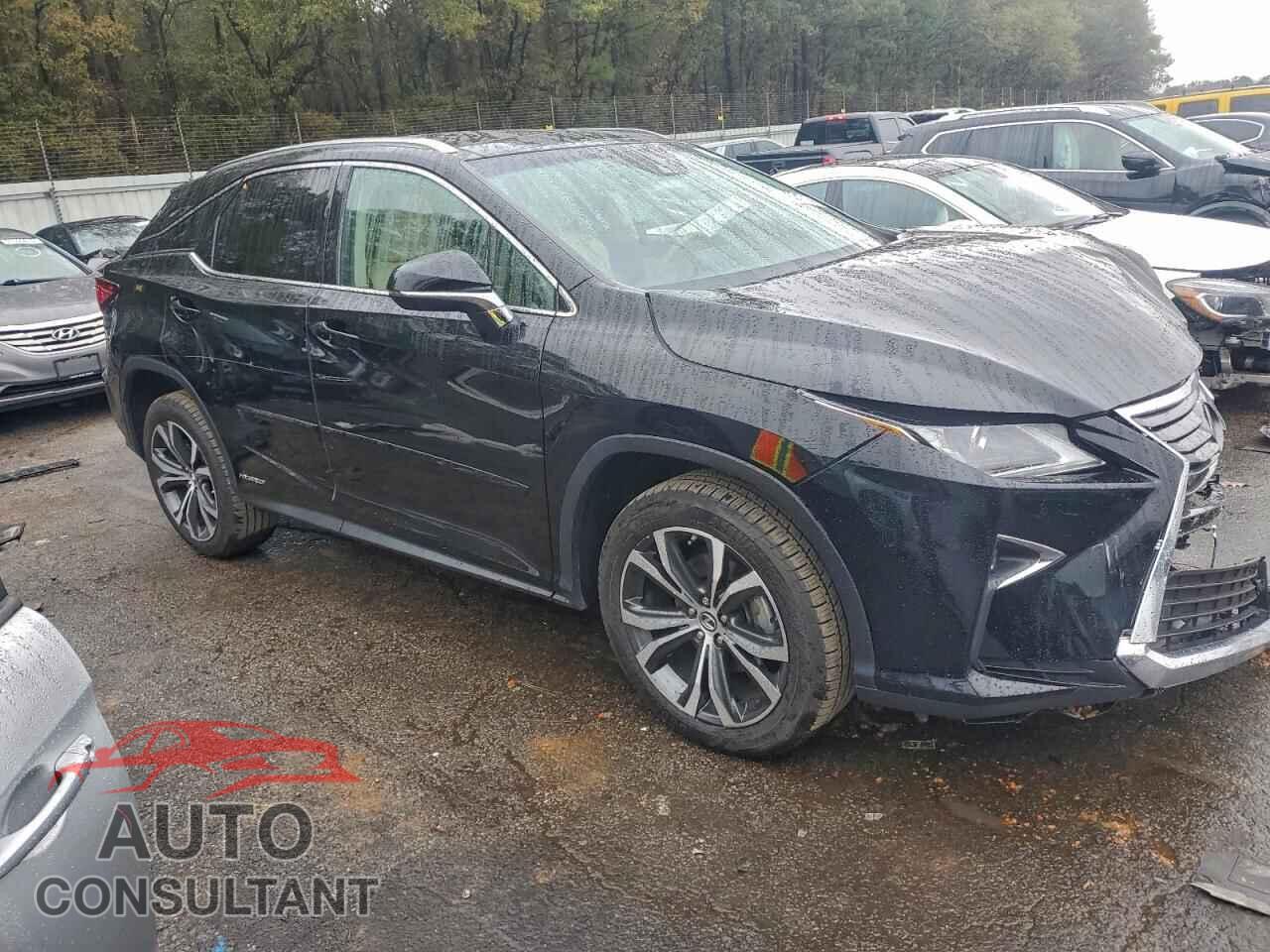 LEXUS RX450 2019 - 2T2BGMCA5KC034925