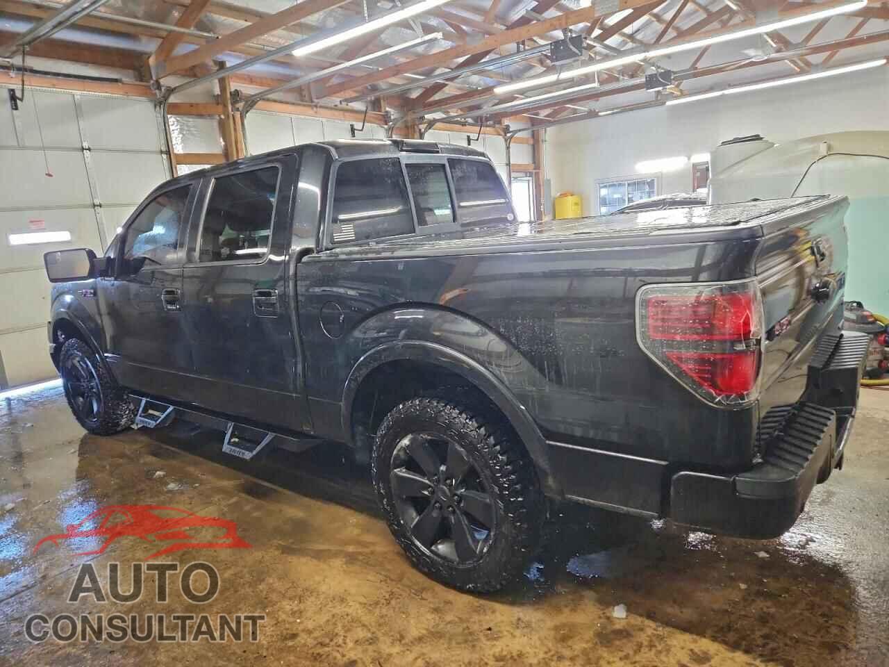 FORD F-150 2013 - 1FTFW1EFXDFD04998