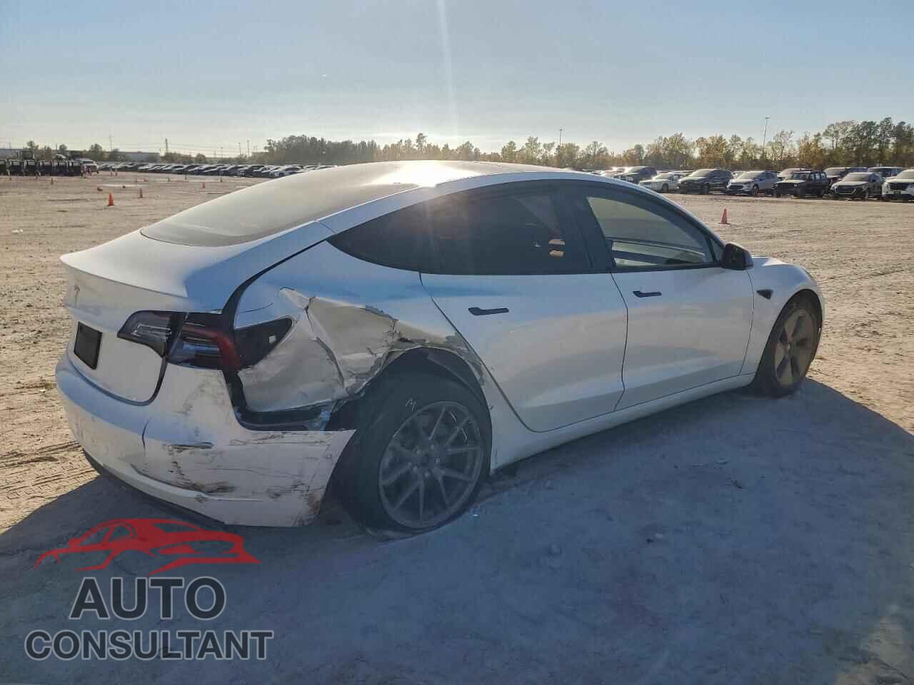 TESLA MODEL 3 2021 - 5YJ3E1EA4MF987618