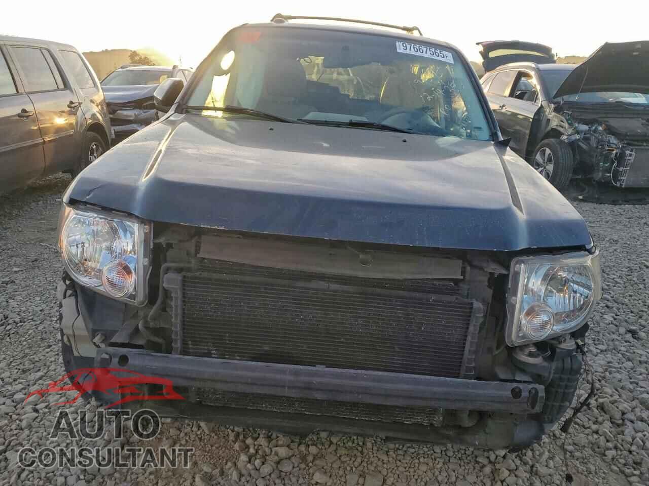 FORD ESCAPE 2012 - 1FMCU5K35CKA44425