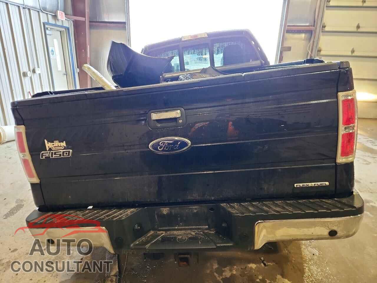 FORD F-150 2011 - 1FTFX1EF8BFA36186