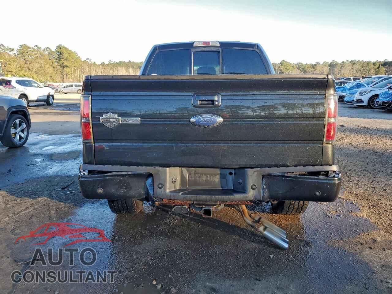 FORD F-150 2012 - 1FTFW1E65CFB60887