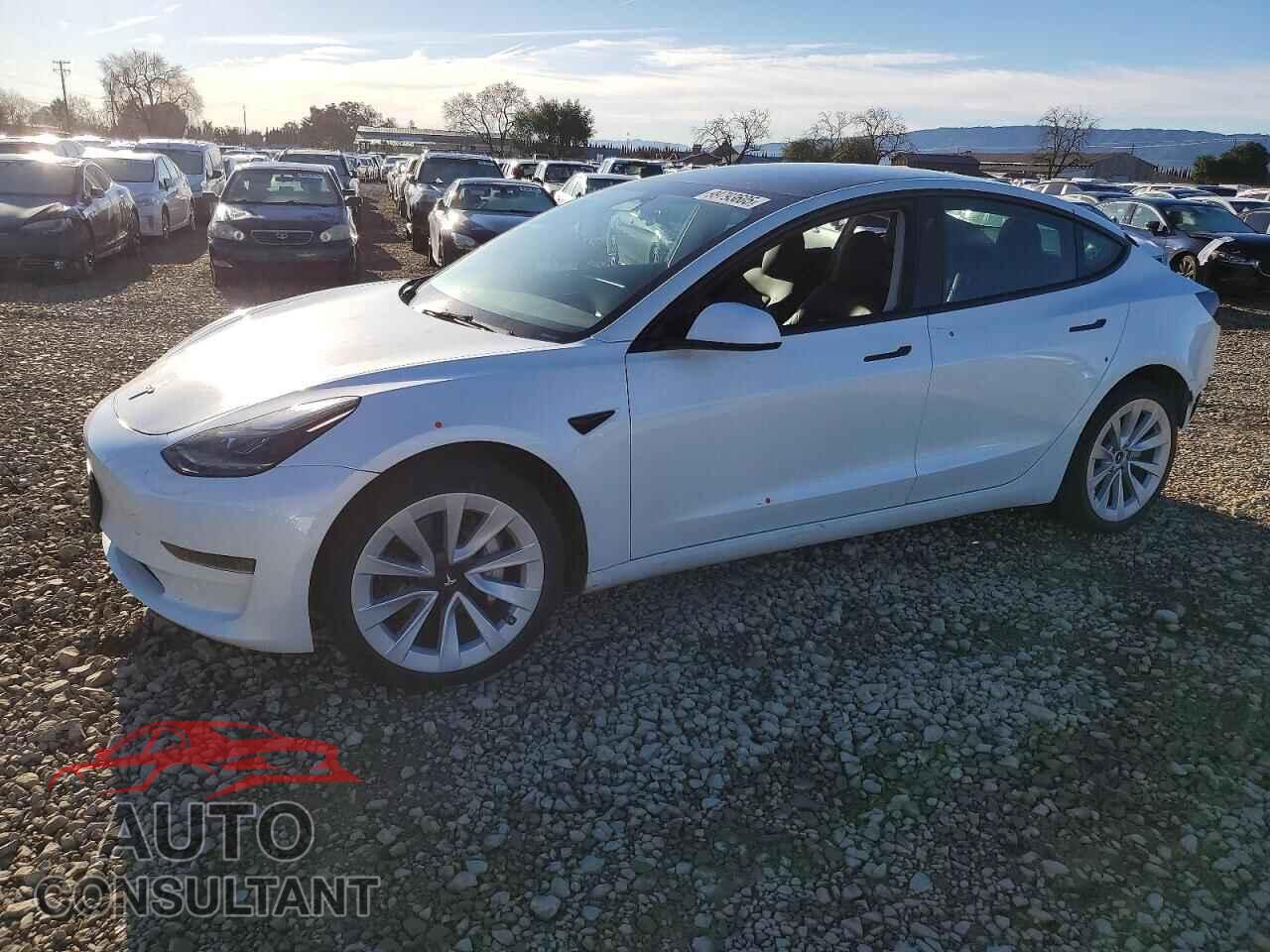 TESLA MODEL 3 2023 - 5YJ3E1EA0PF615679
