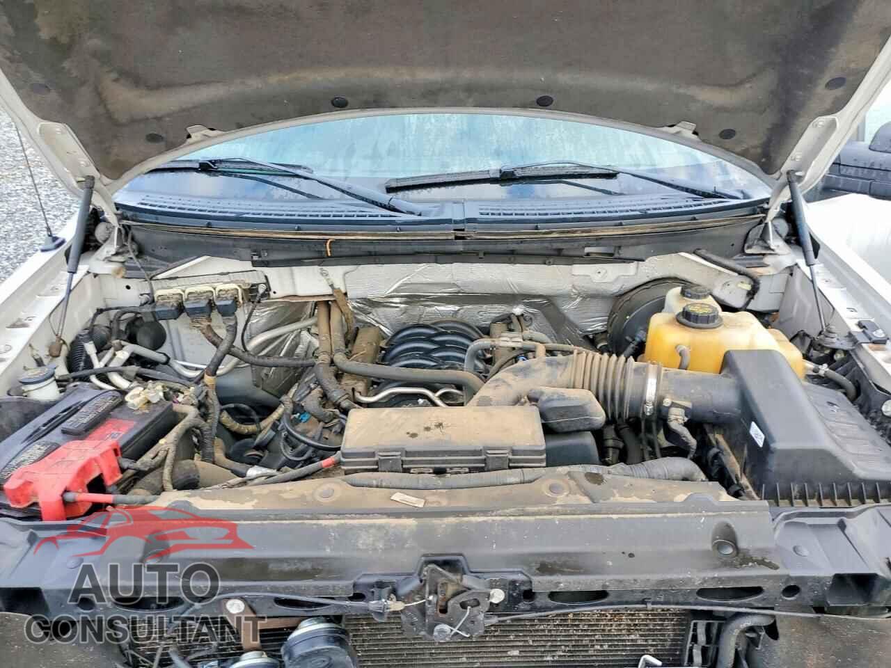 FORD F-150 2013 - 1FTFW1CF4DFD62527