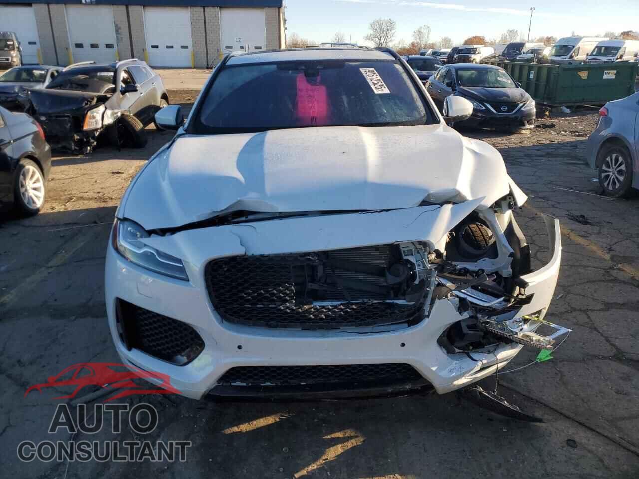 JAGUAR F-PACE 2019 - SADCM2FV3KA398841