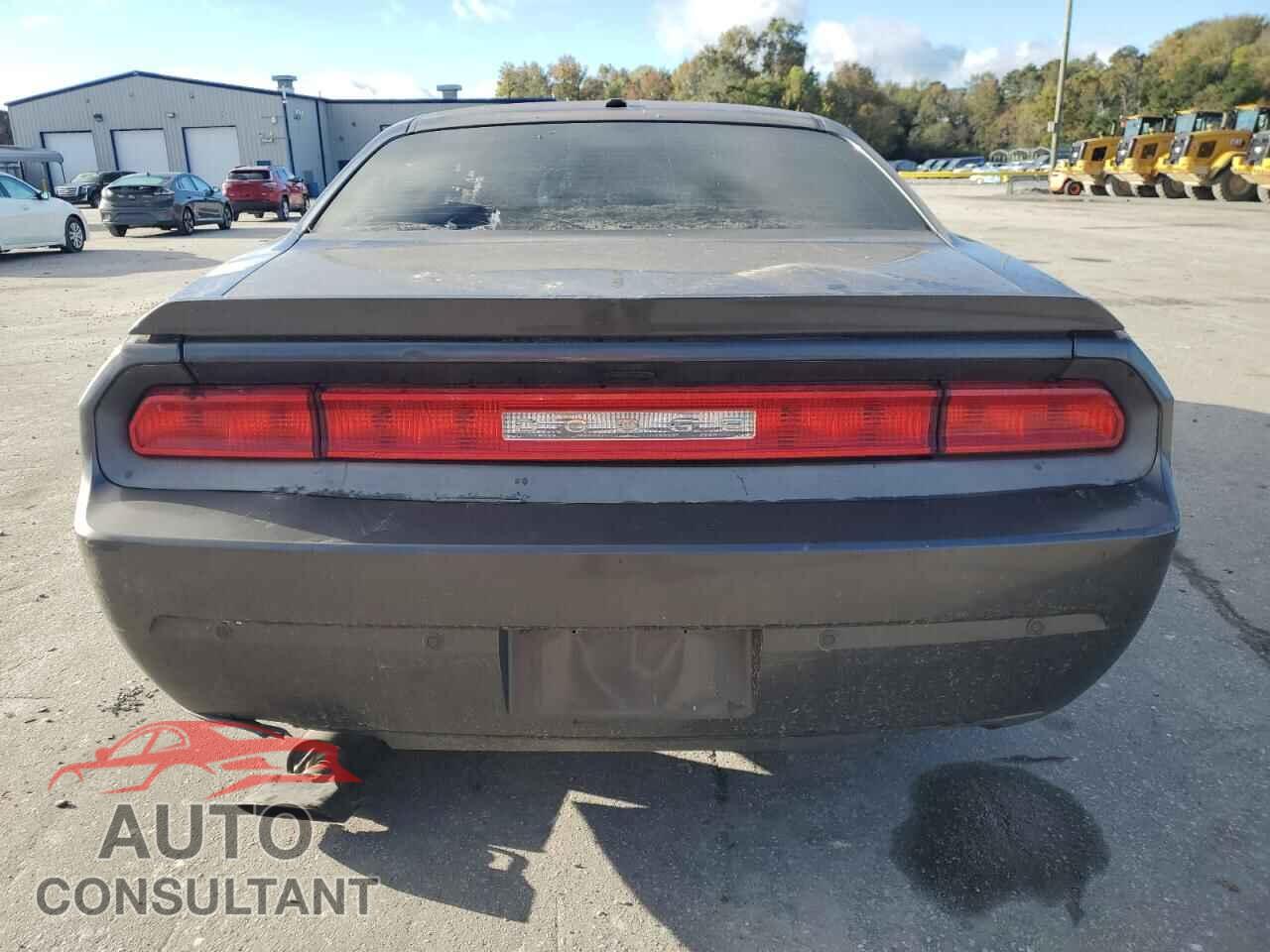 DODGE CHALLENGER 2013 - 2C3CDYBT3DH712595