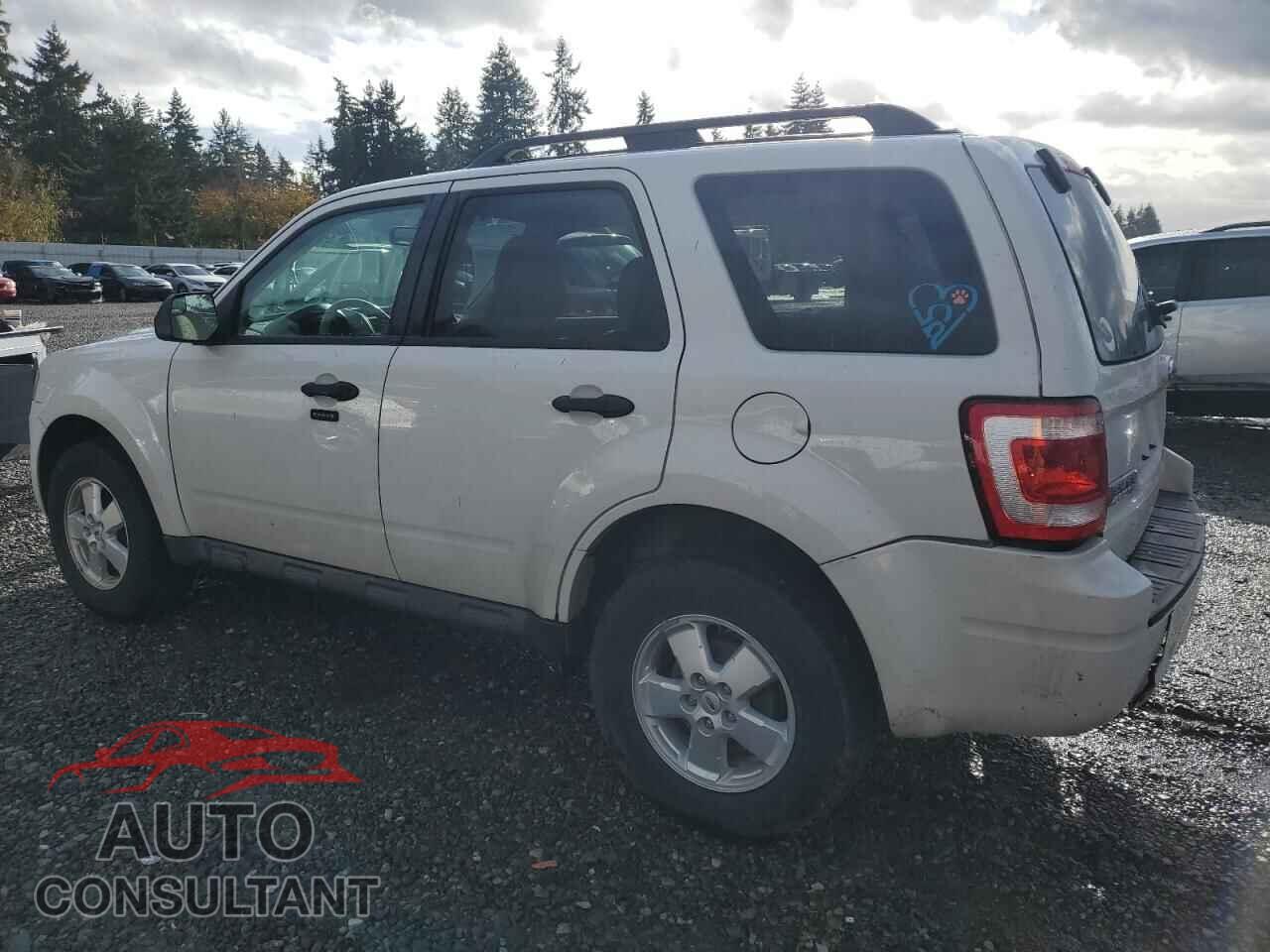 FORD ESCAPE 2011 - 1FMCU0D73BKA28709