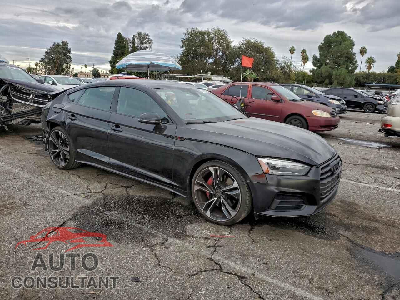 AUDI S5/RS5 2024 - WAUC4CF53RA035075