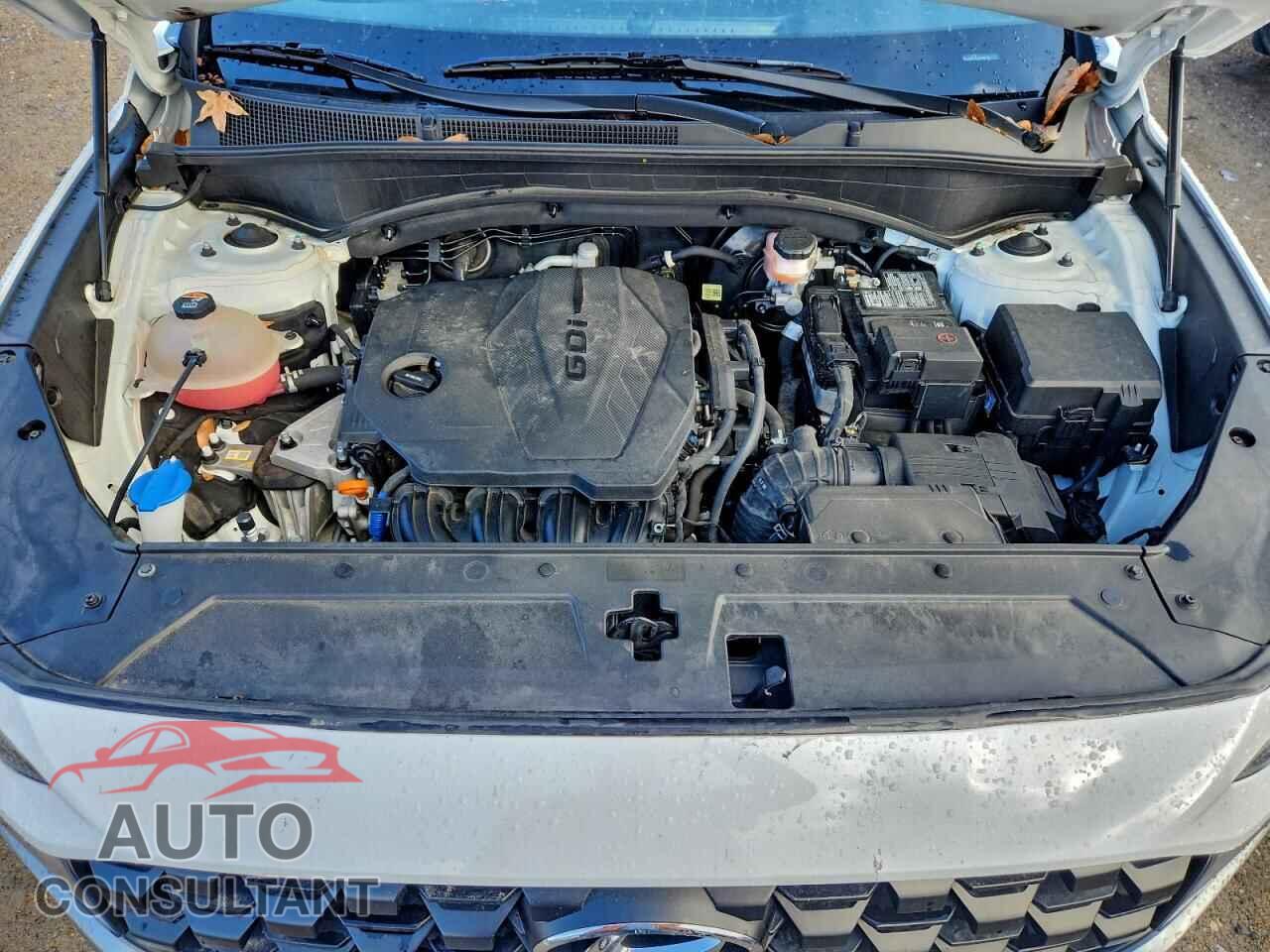 HYUNDAI SANTA FE 2023 - 5NMS14AJ0PH522819