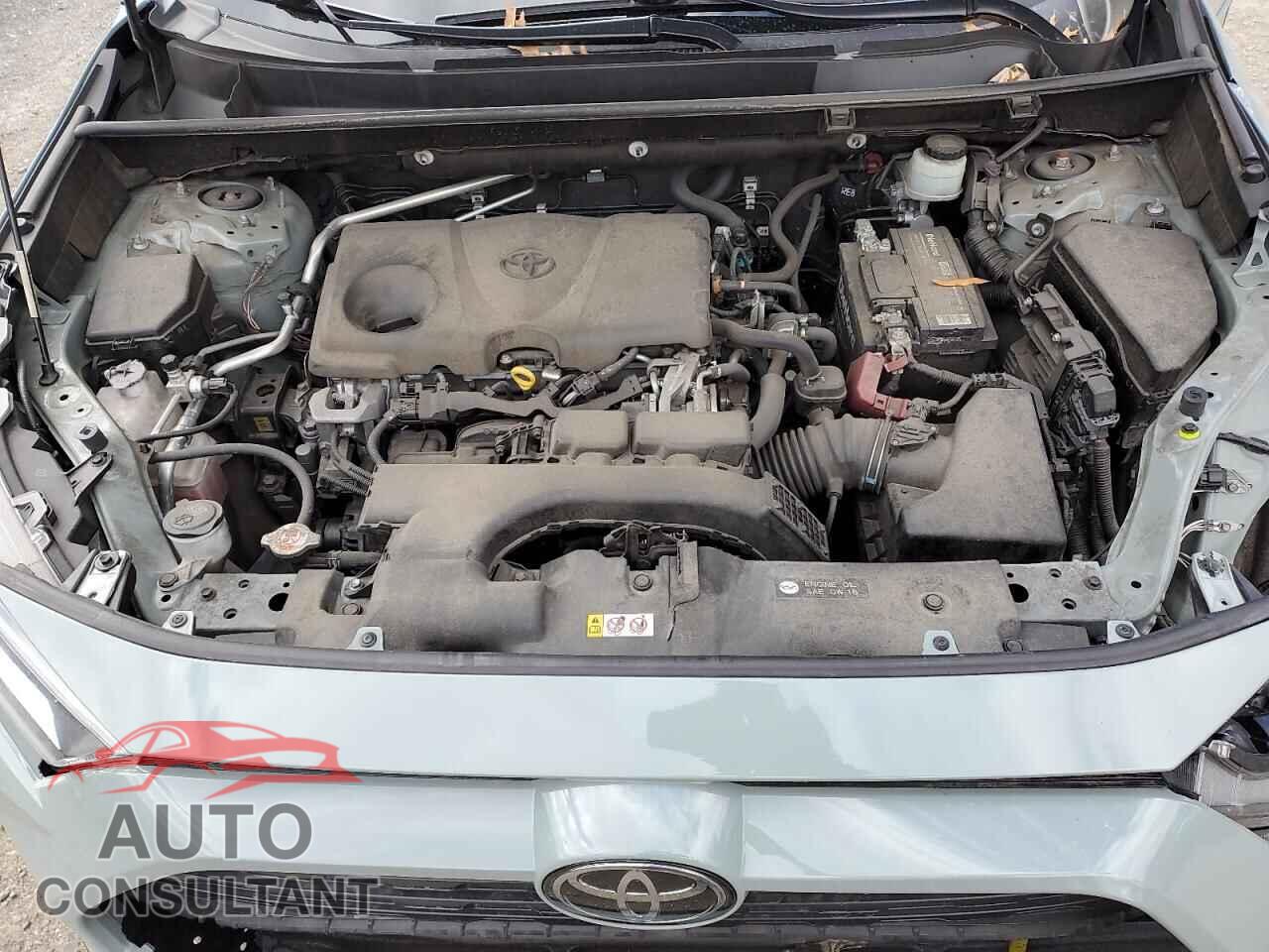 TOYOTA RAV4 2019 - JTMP1RFVXKD523928