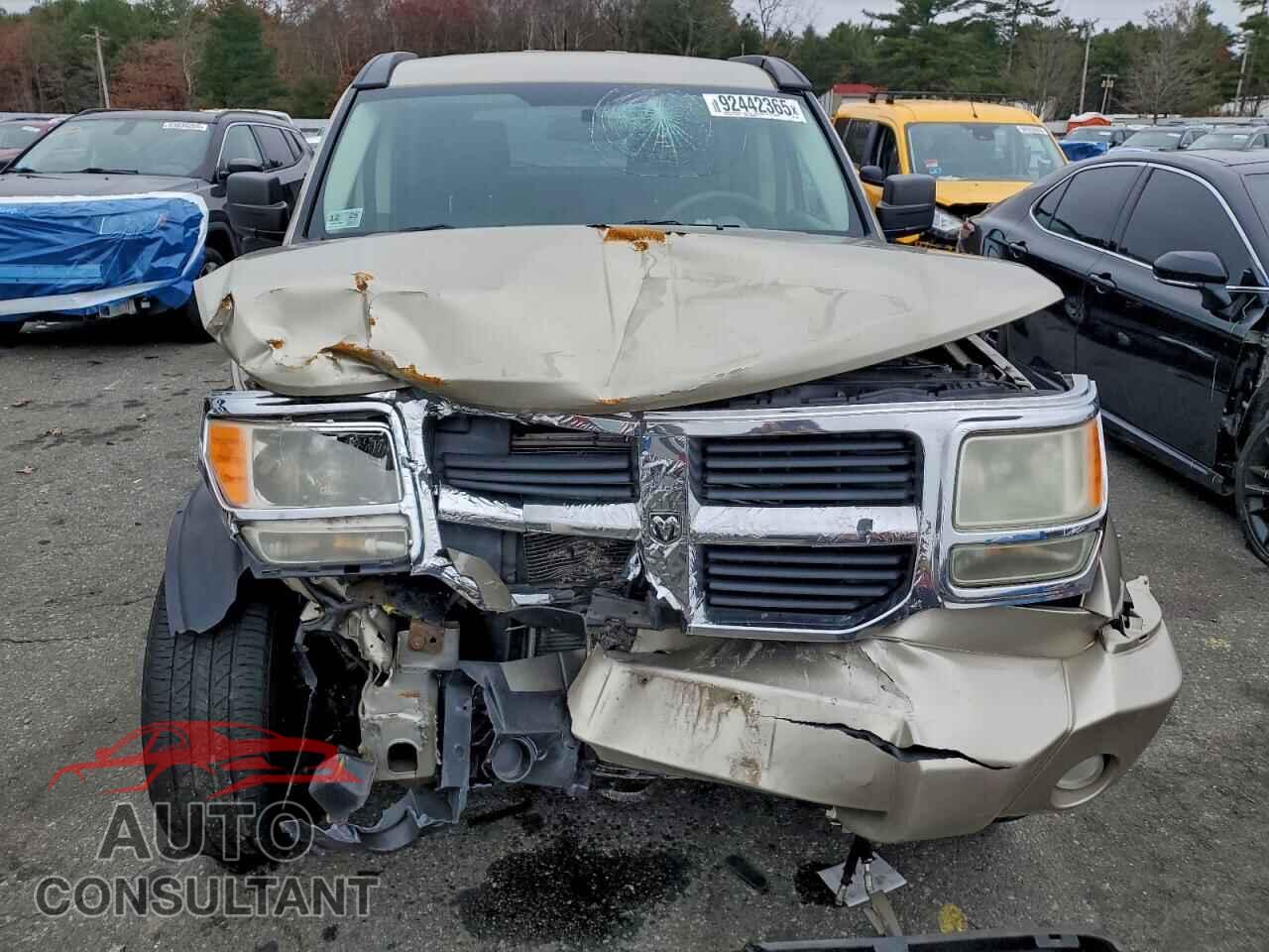 DODGE NITRO 2010 - 1D4PU2GK1AW114807