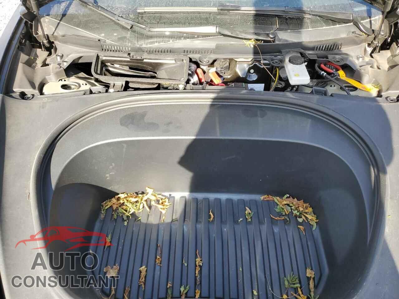 TESLA MODEL 3 2024 - 5YJ3E1ET1RF842089