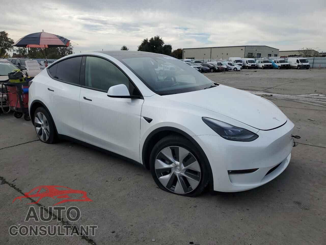 TESLA MODEL Y 2023 - 7SAYGDEEXPF816853