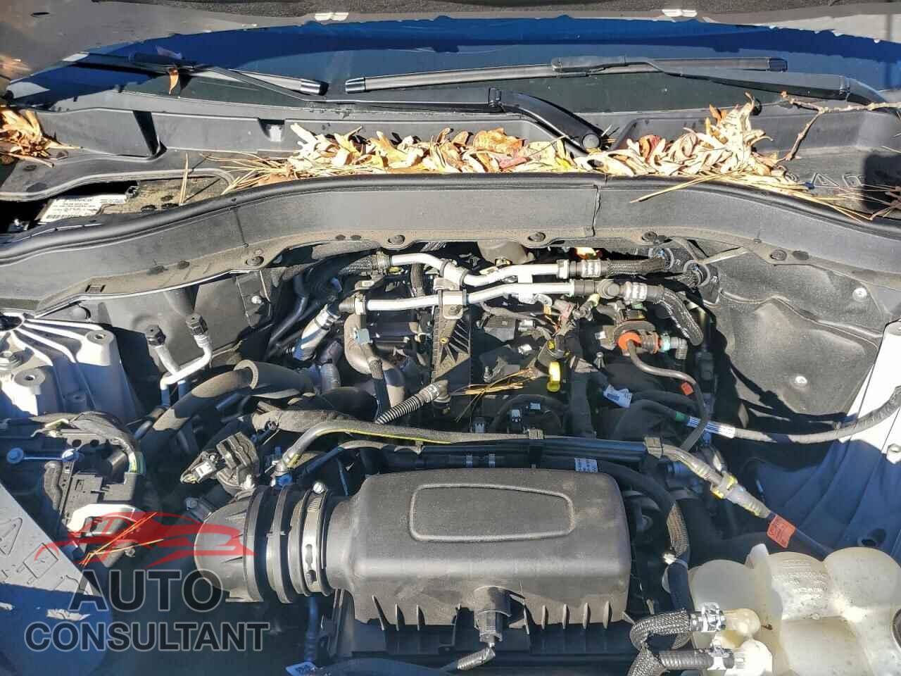 FORD EXPLORER 2021 - 1FMSK8DH1MGB86111