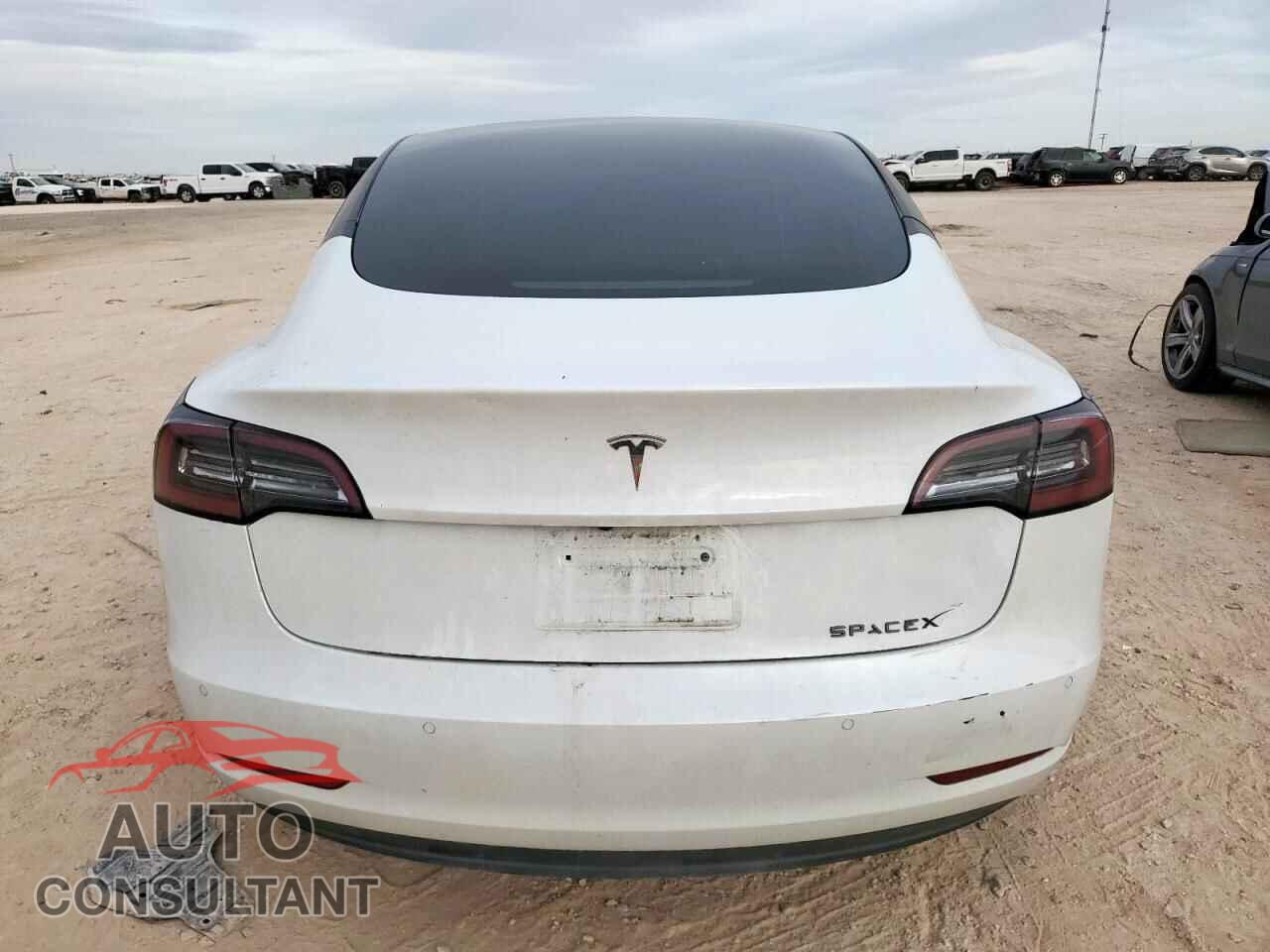 TESLA MODEL 3 2021 - 5YJ3E1EA3MF100736