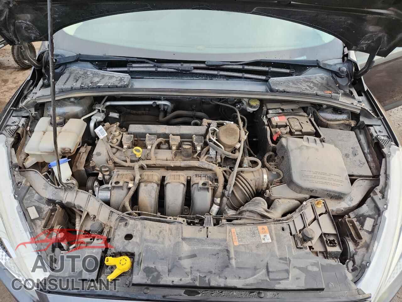 FORD FOCUS 2016 - 1FADP3E21GL306065