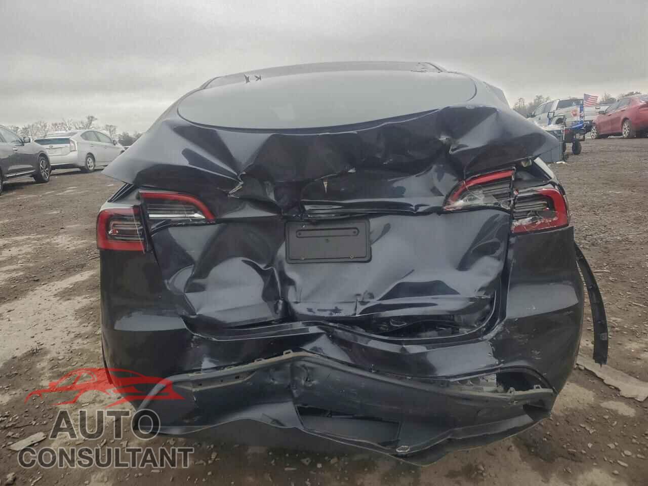 TESLA MODEL Y 2024 - 7SAYGDED3RF095933