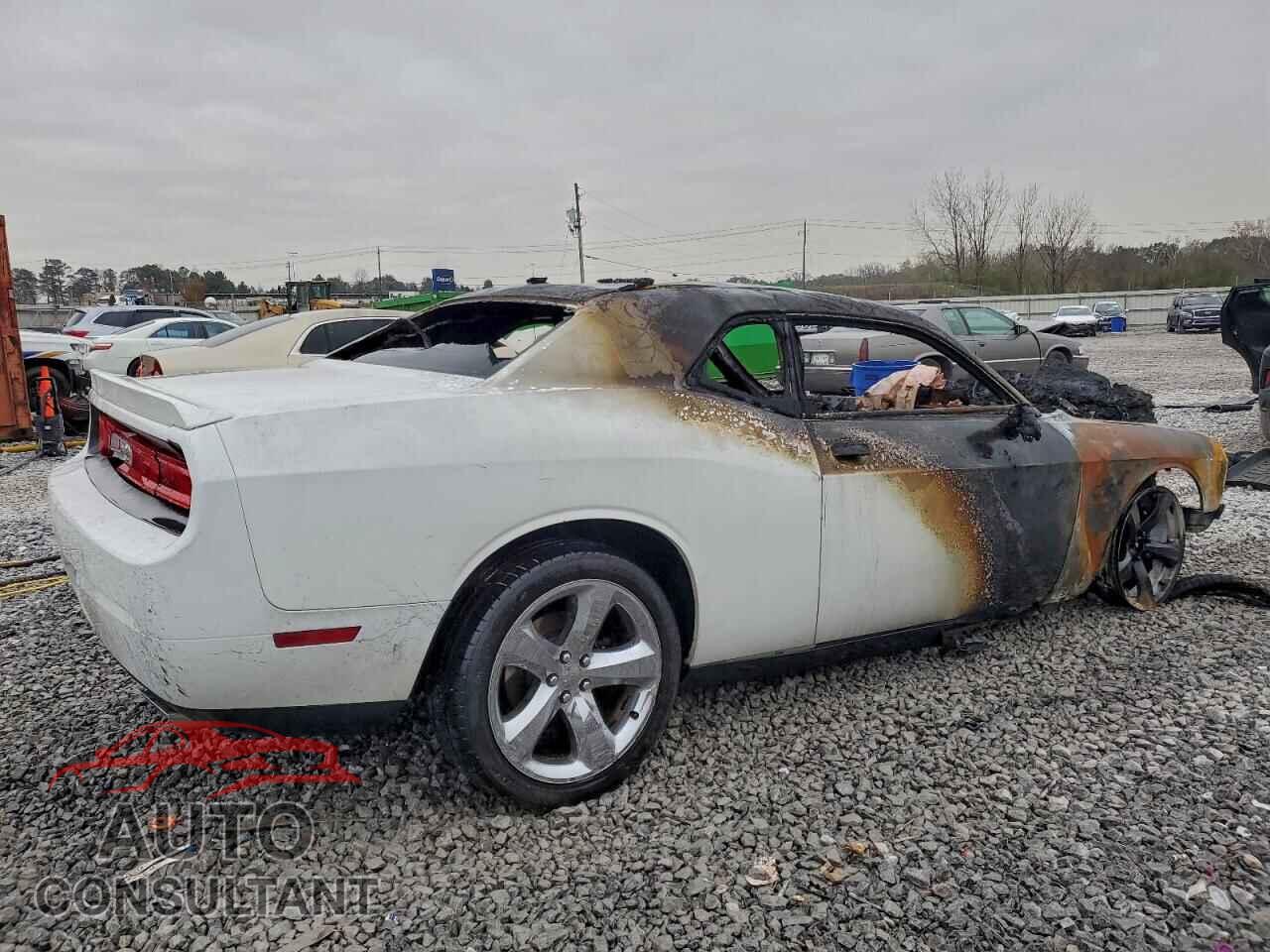 DODGE CHALLENGER 2014 - 2C3CDYAG7EH208301