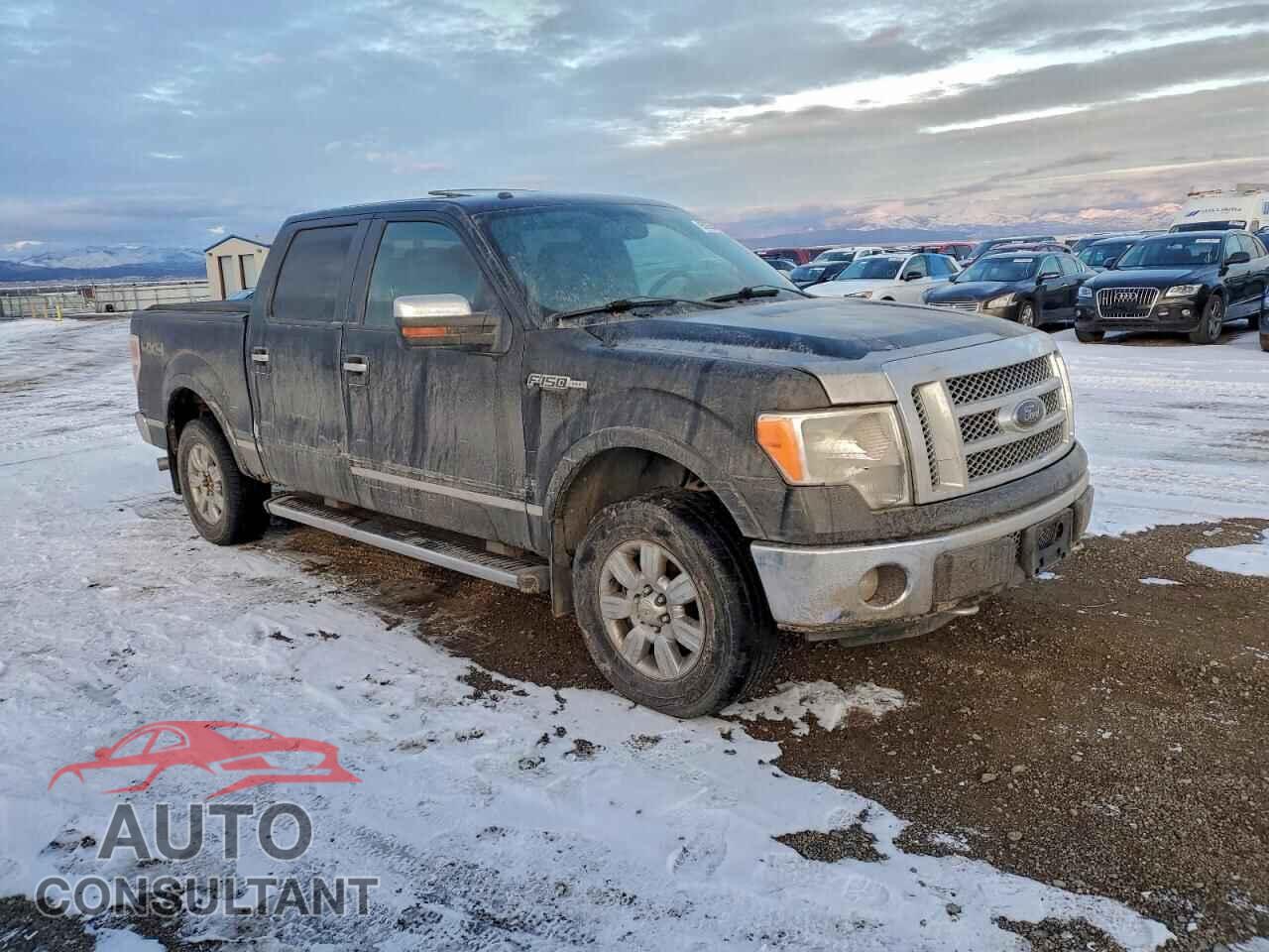 FORD F-150 2011 - 1FTFW1EFXBFA43384